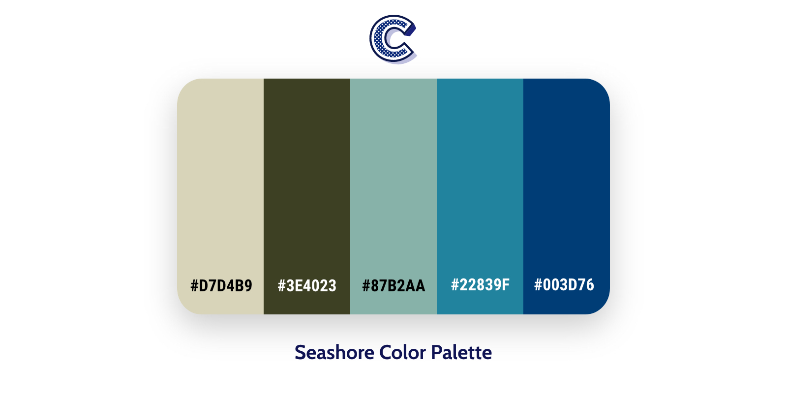 the featured image of seachore color palette