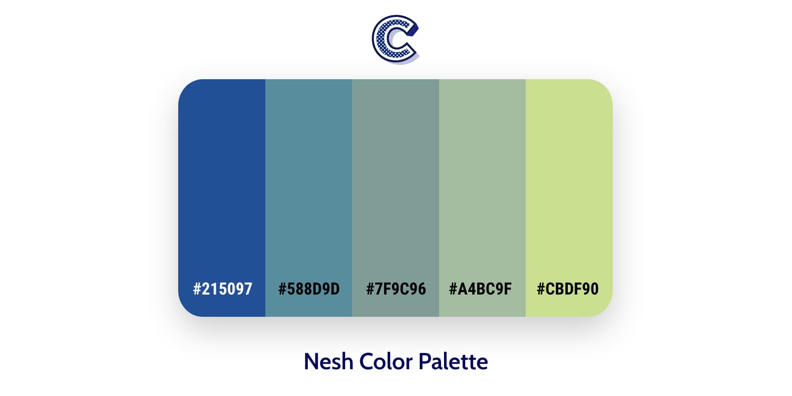 the featured image of nesh color palette